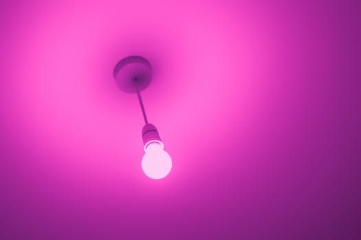 brain with light bulb