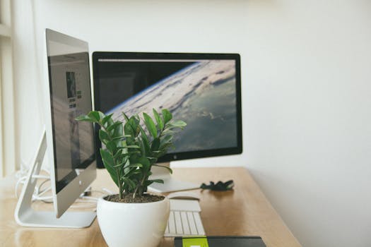 Ergonomic desk setup with natural light