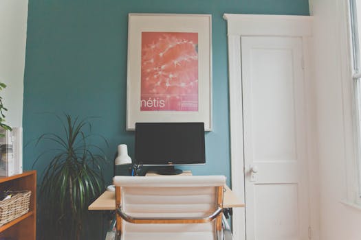 organized study area