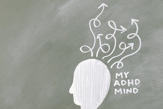 Example of a mind map
